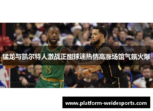 猛龙与凯尔特人激战正酣球迷热情高涨场馆气氛火爆